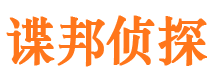 齐河侦探社